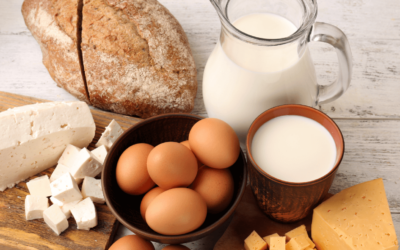 Dairy Ingredients: What You Might Be Missing Out On