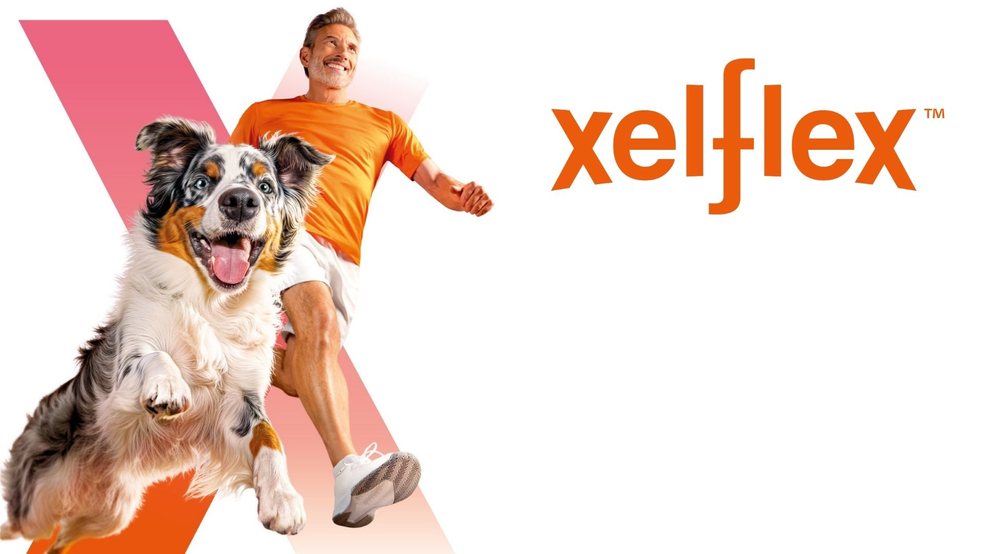 Ingredia-usa_Xelflex_man running with dog xelflex allows man to run with dog